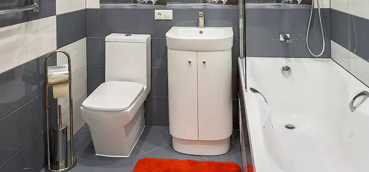 Hansgrohe Shaving Mirror Phenix City